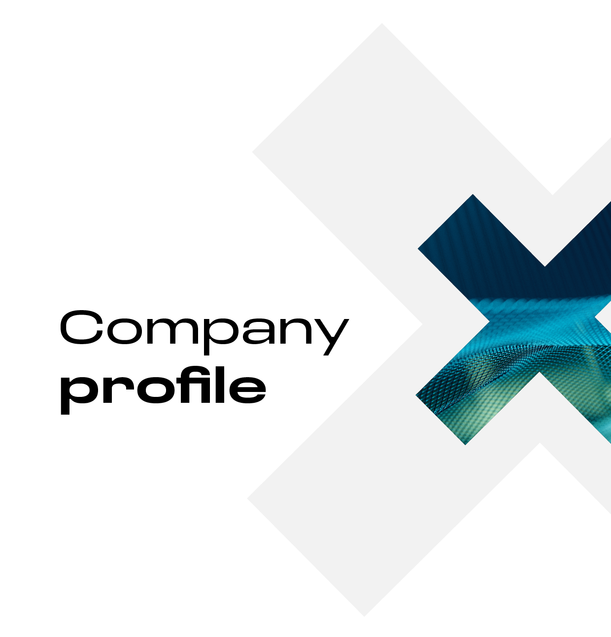 Company-Profile